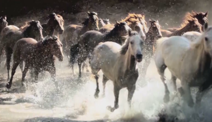 司歌《可愛的宏昌天馬》